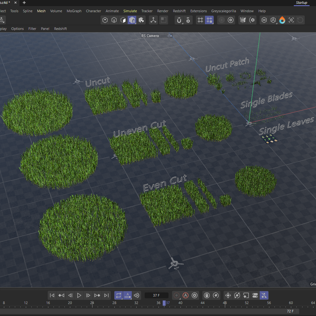 Realistic Lawn Grass