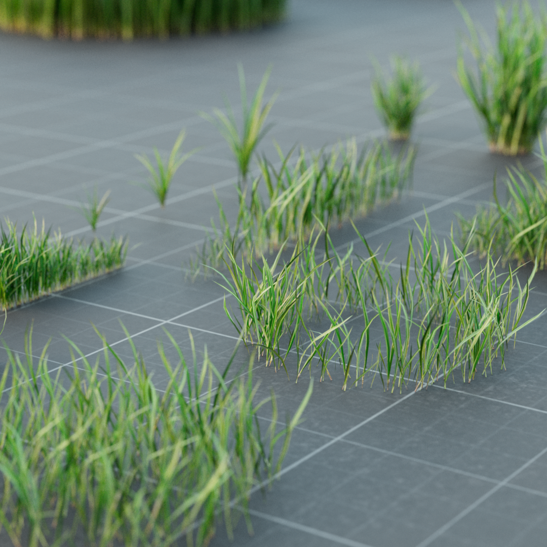 Realistic Lawn Grass