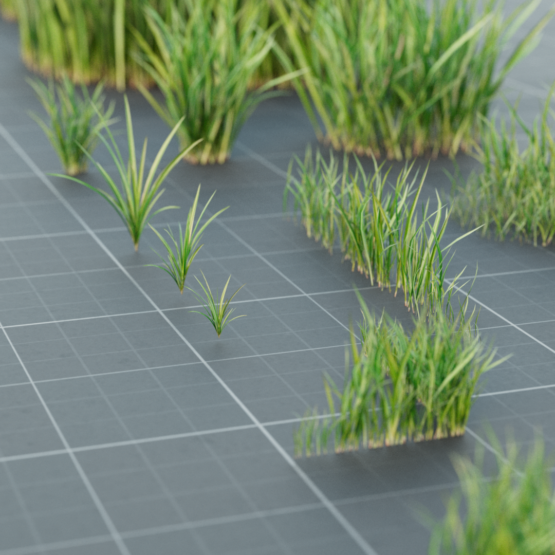 Realistic Lawn Grass