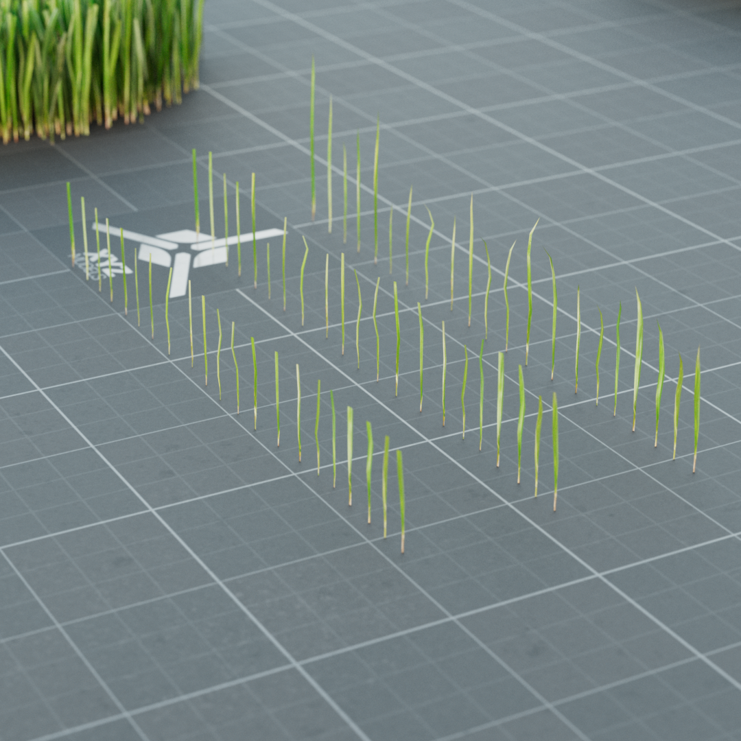 Realistic Lawn Grass