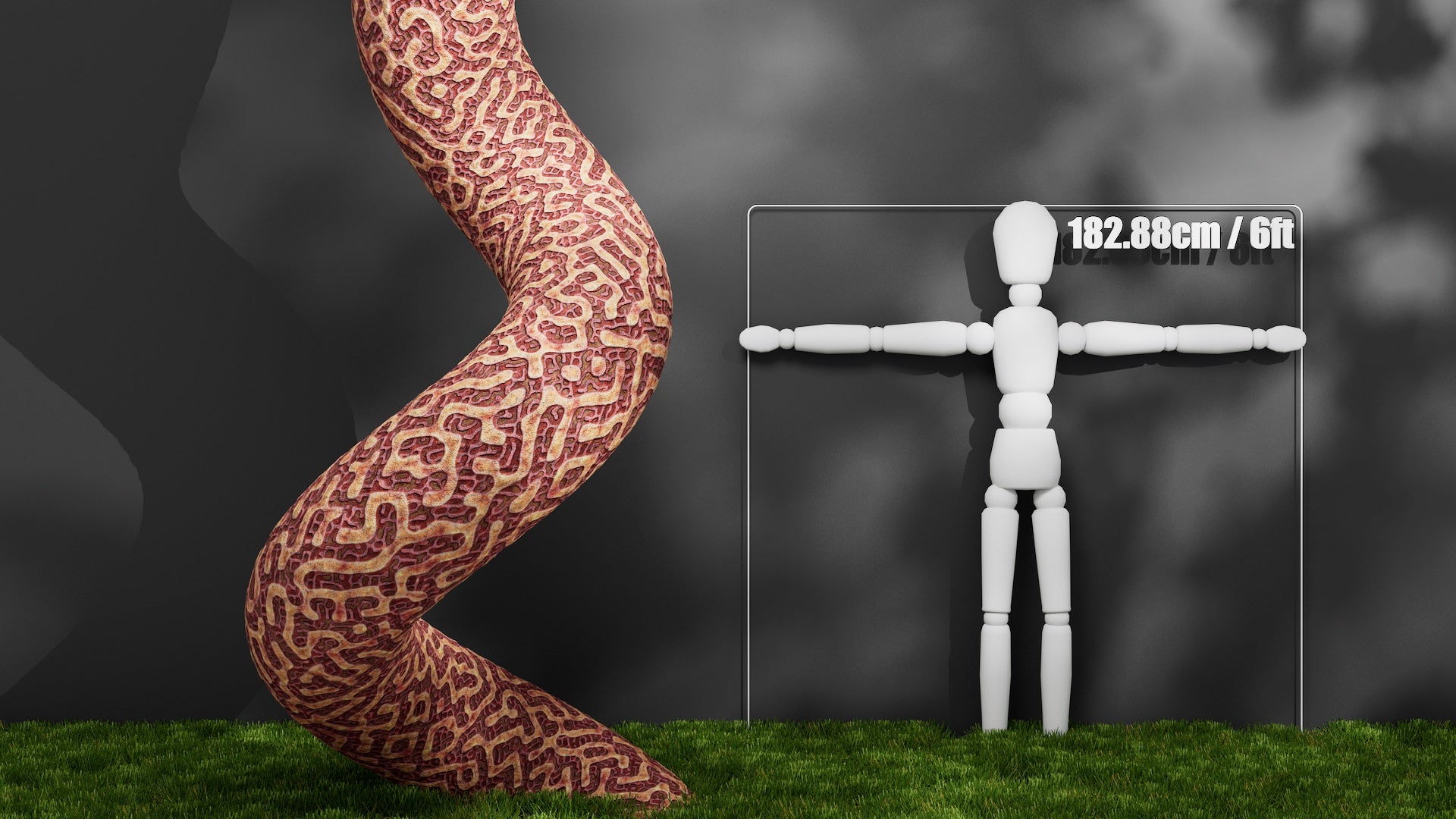 Substance Material - Surreal Organic Coral