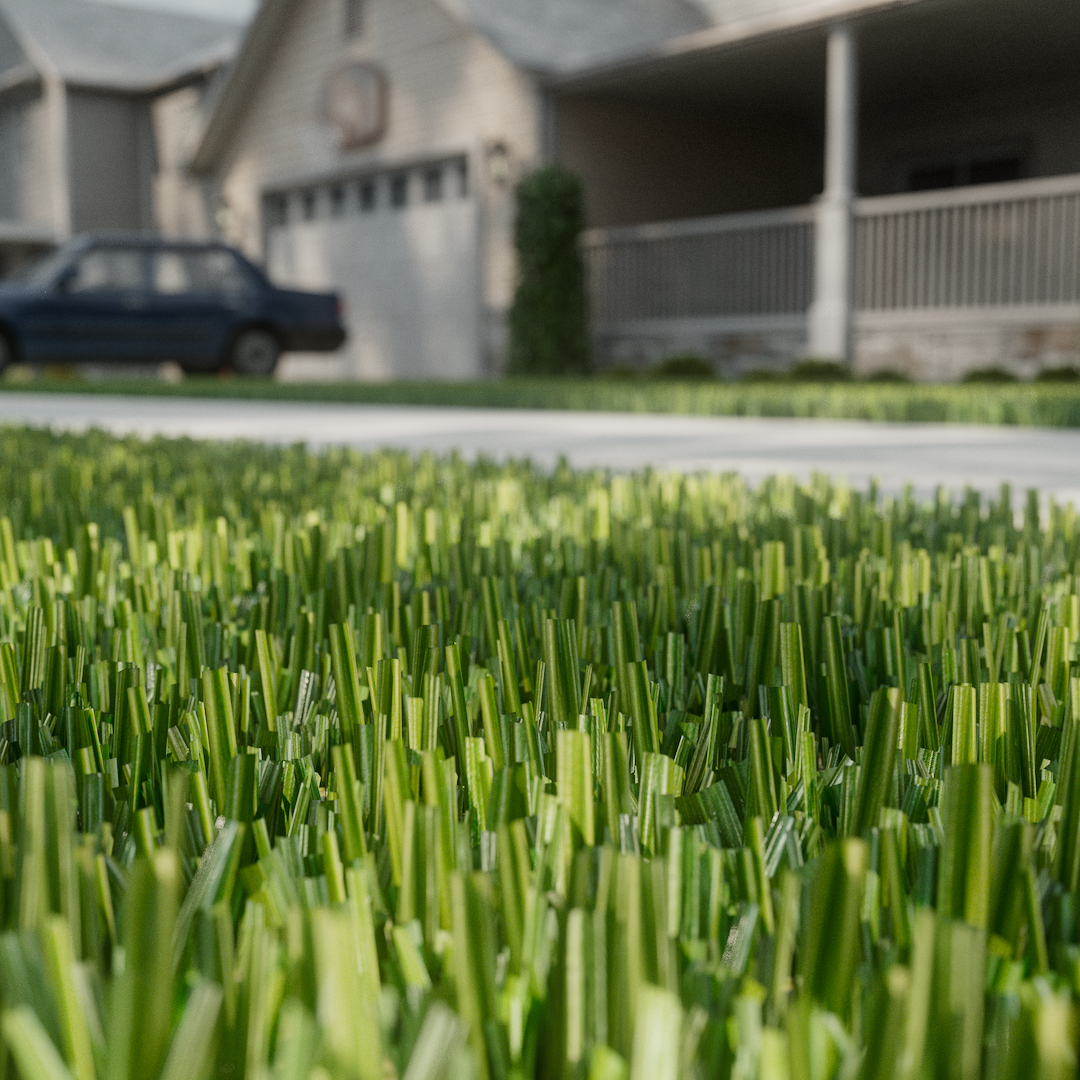 Realistic Lawn Grass